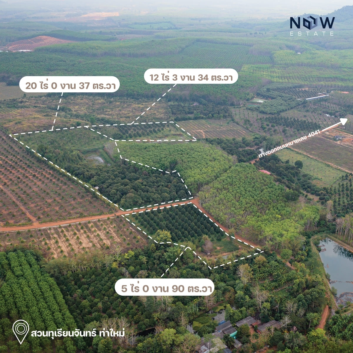 ที่ดินสวนทุเรียนท่าใหม่